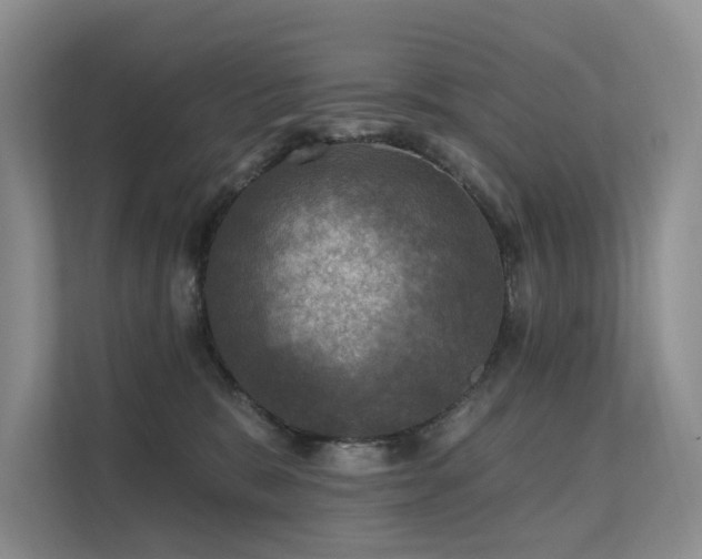 X0000111580327200907161430