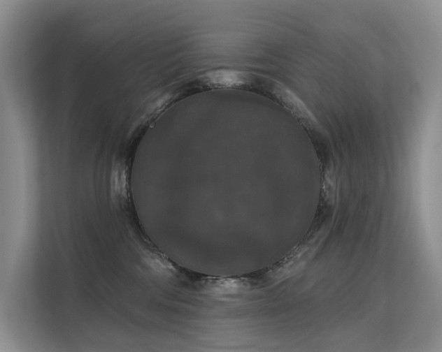 X0000111580330200907161430