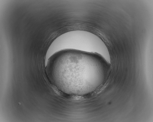 X0000111580333200907161430