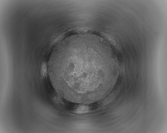 X0000111580335200907161430