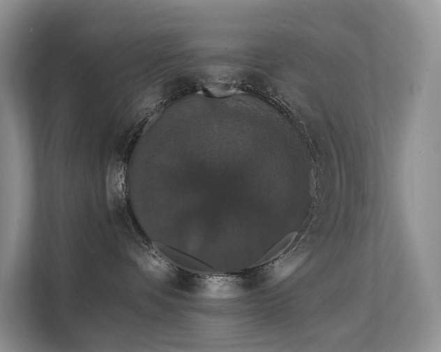 X0000111580336200907161430
