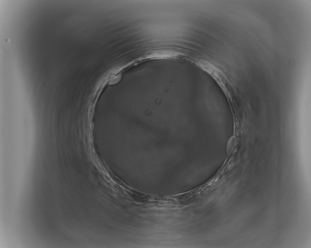X0000111580337200907161429