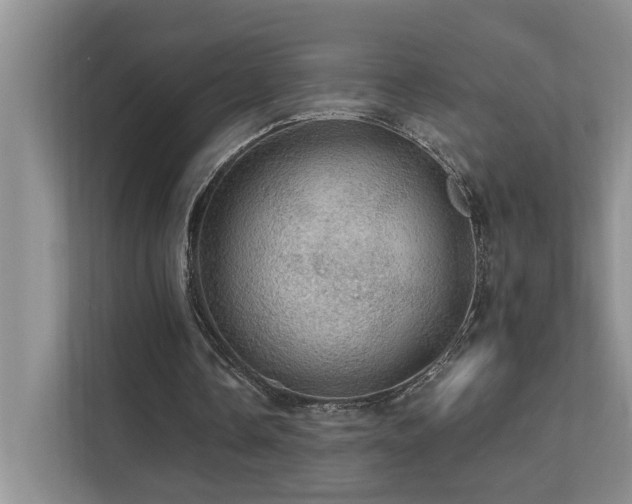 X0000111580338200907161429