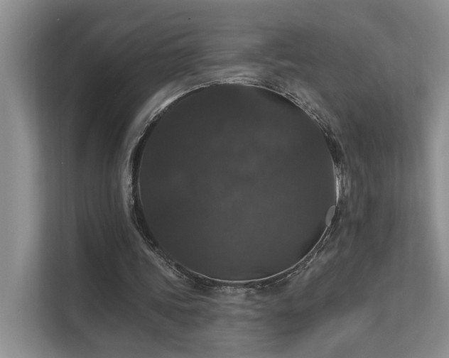 X0000111580339200907161429
