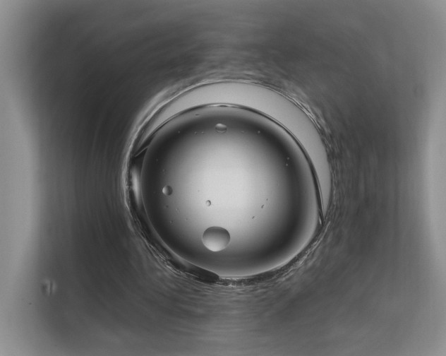X0000111580340200907161429