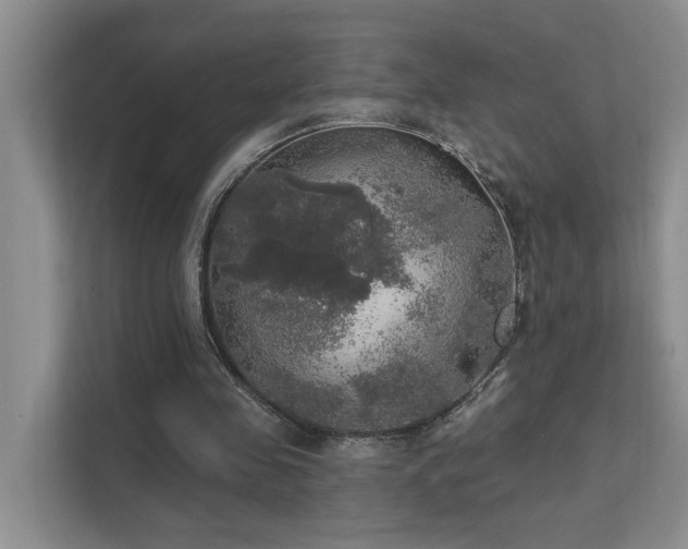 X0000111580341200907161429