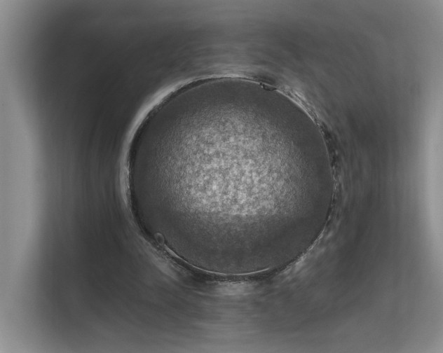 X0000111580342200907161429