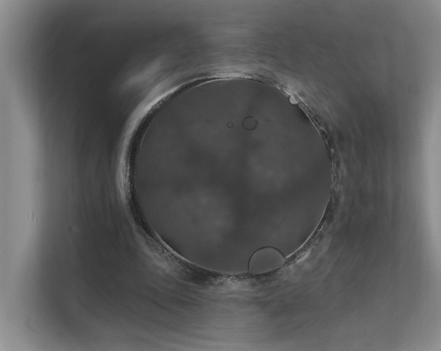 X0000111580343200907161429