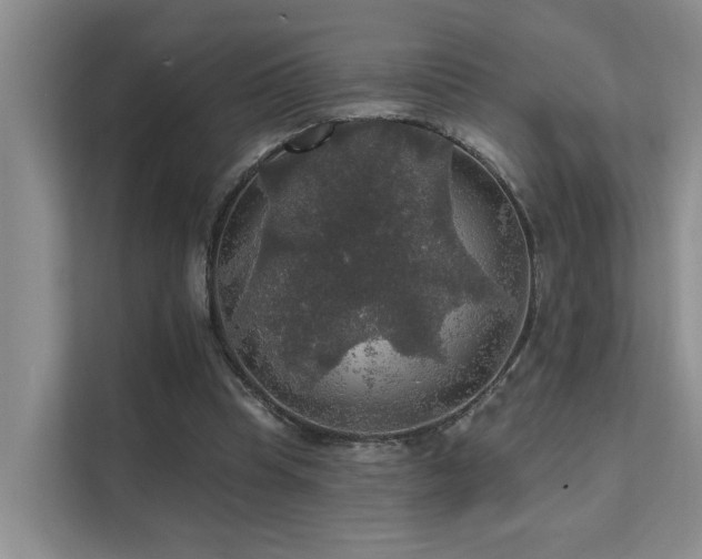 X0000111580345200907161429