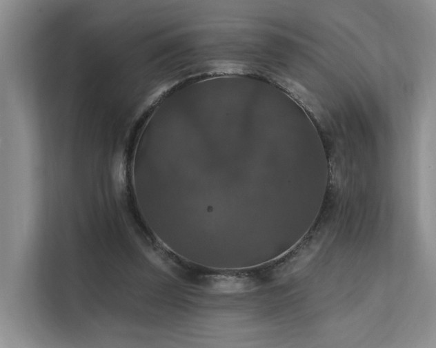 X0000111580347200907161429