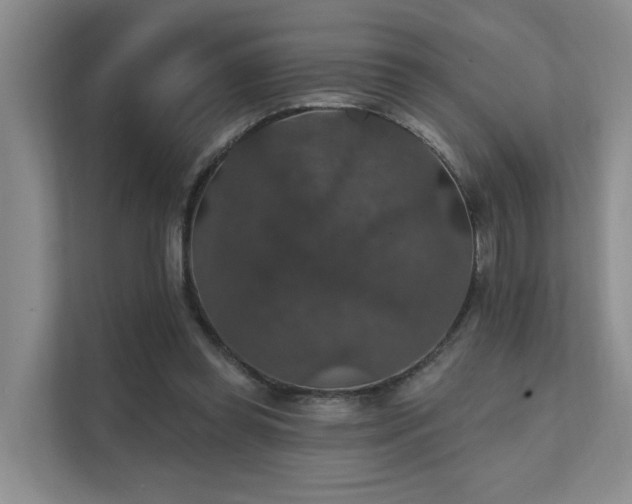 X0000111580349200907161429