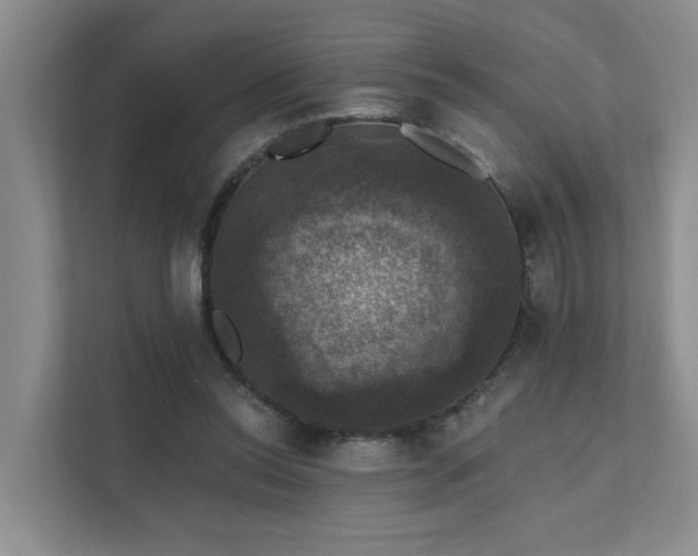 X0000111580350200907161429