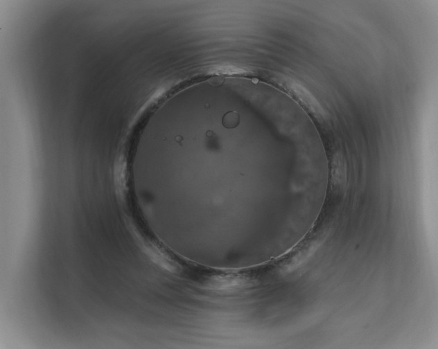 X0000111580351200907161429
