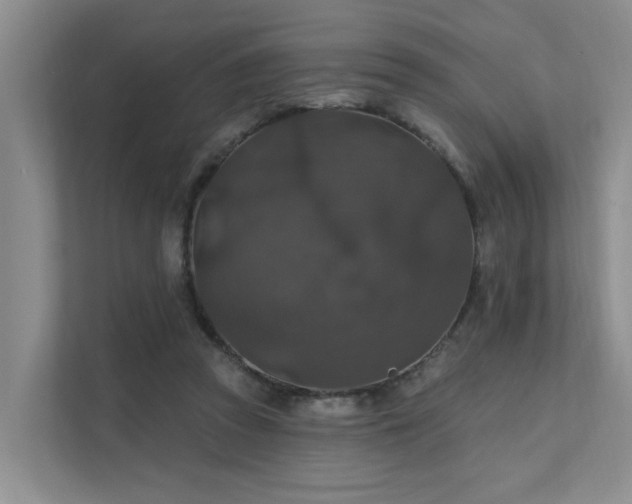 X0000111580353200907161429