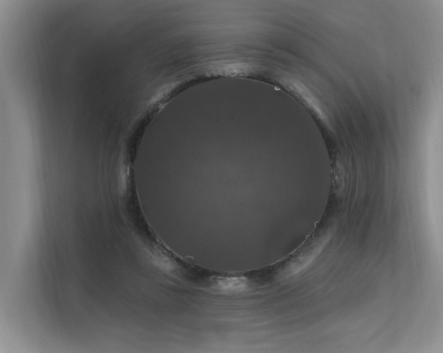 X0000111580355200907161429