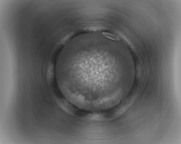 X0000111580356200907161429