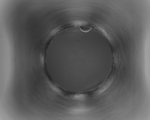 X0000111580357200907161429