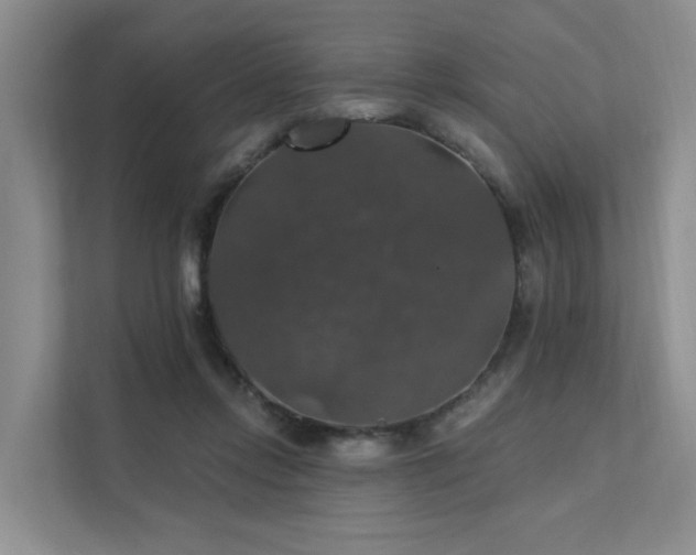 X0000111580358200907161429