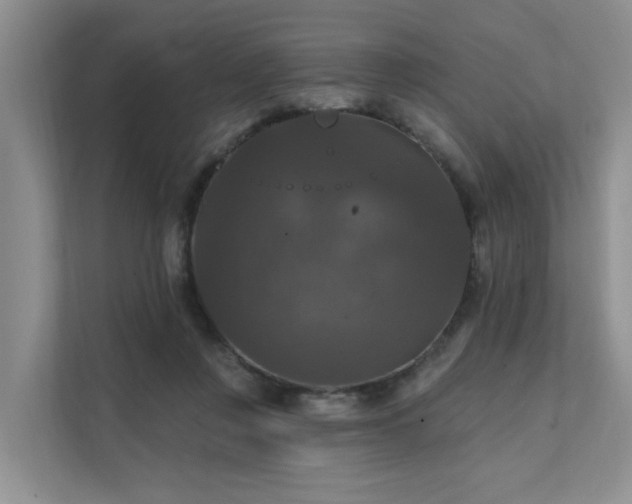 X0000111580359200907161429