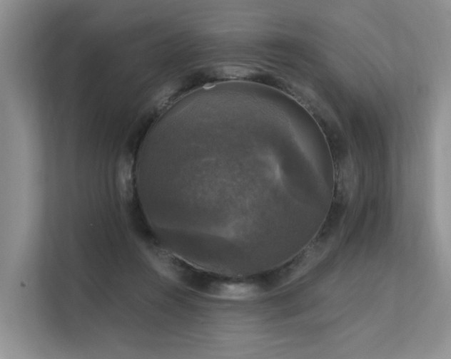 X0000111580360200907161429