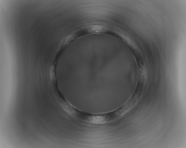 X0000111580361200907161429