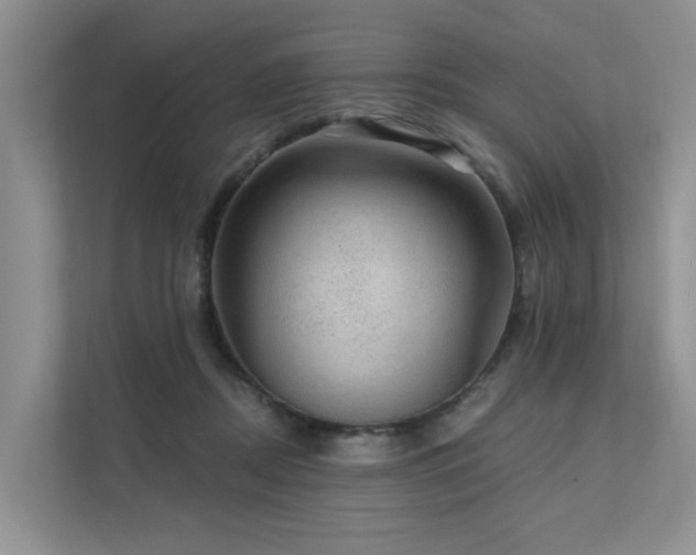 X0000111580362200907161429