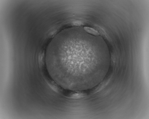 X0000111580364200907161430
