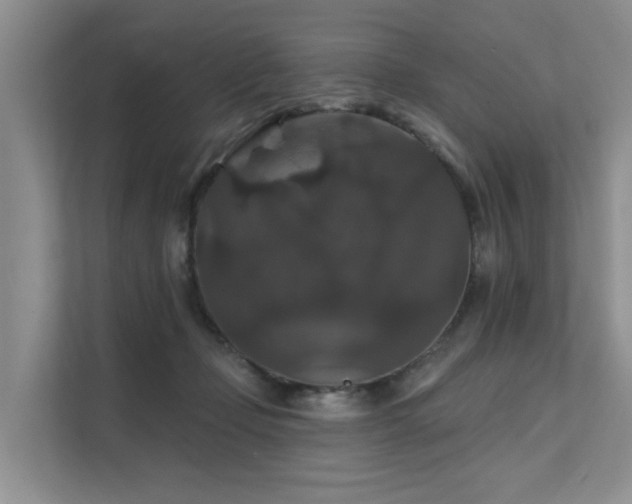 X0000111580365200907161430