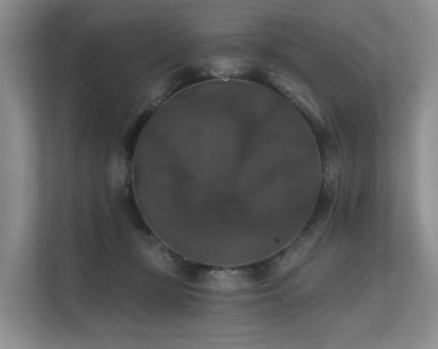 X0000111580367200907161430