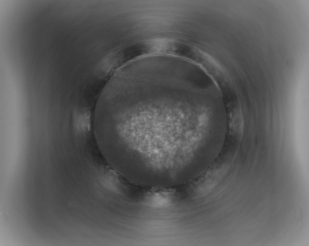 X0000111580368200907161430