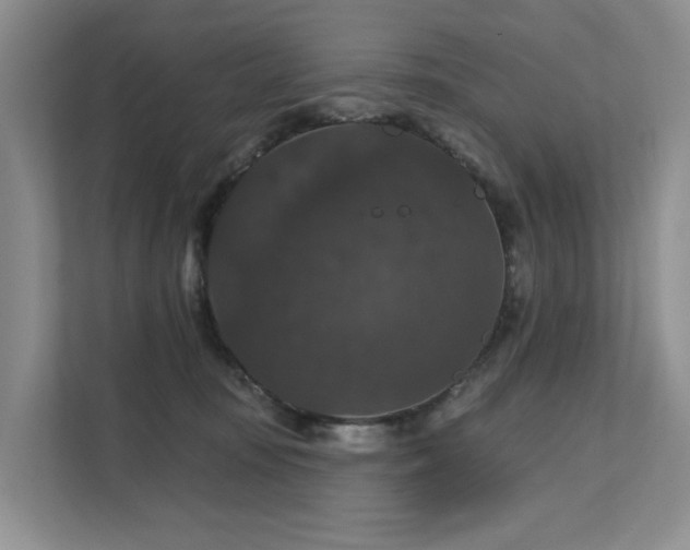 X0000111580371200907161430