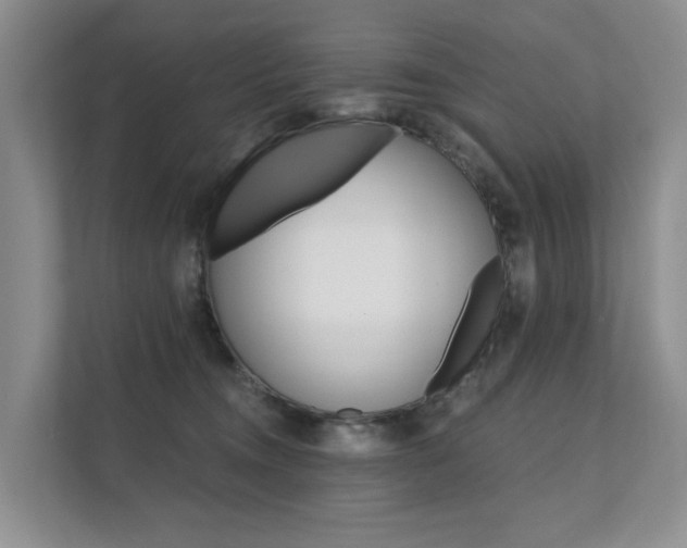 X0000111580372200907161430
