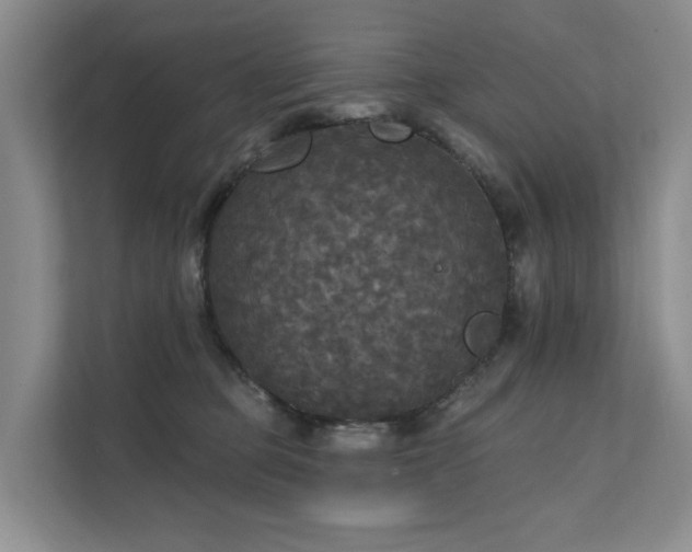 X0000111580373200907161430