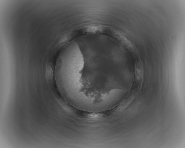 X0000111580375200907161430