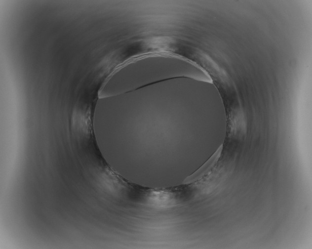 X0000111580376200907161430