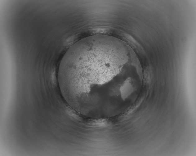 X0000111580377200907161430