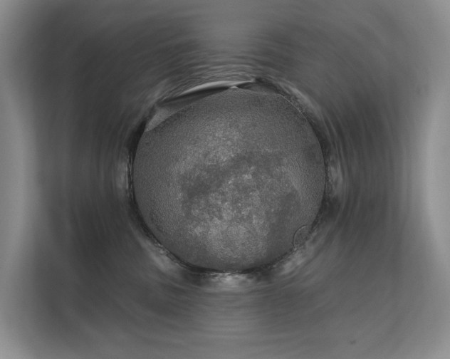 X0000111580379200907161430