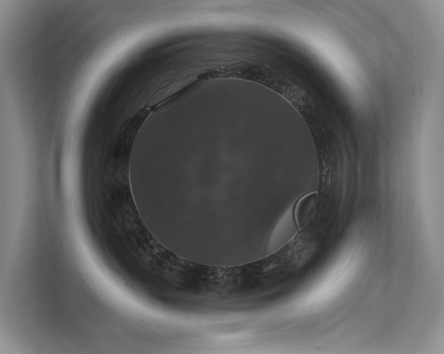 X0000111580383200907161430