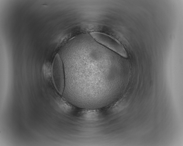 X0000111580384200907161430