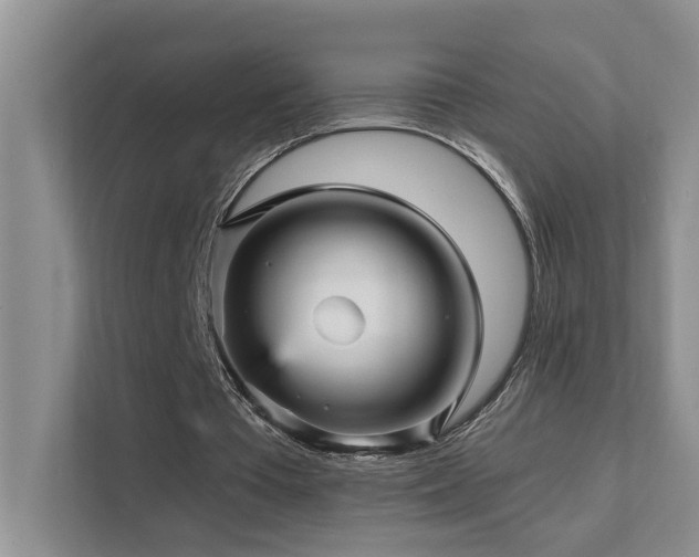 X0000111580385200907161429