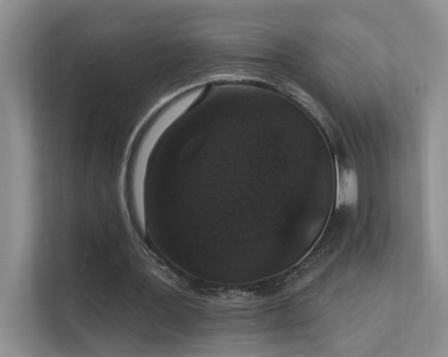 X0000111580387200907161429