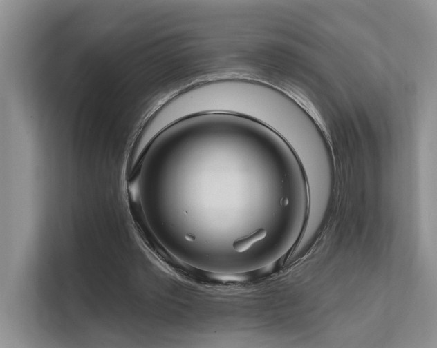 X0000111580389200907161429