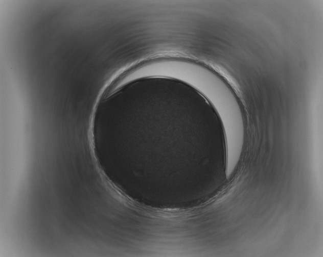X0000111580391200907161429