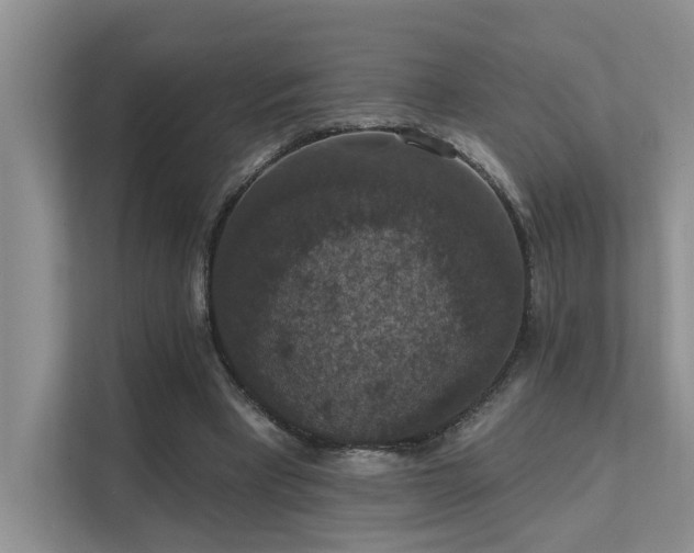 X0000111580393200907161429
