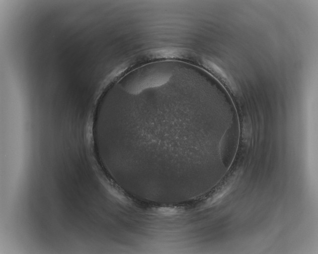 X0000111580394200907161429