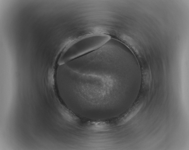 X0000111580395200907161429
