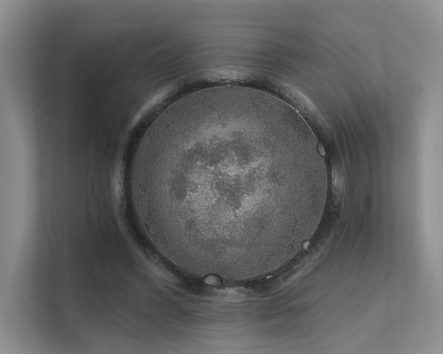 X0000111580396200907161429