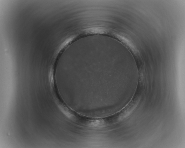 X0000111580398200907161429