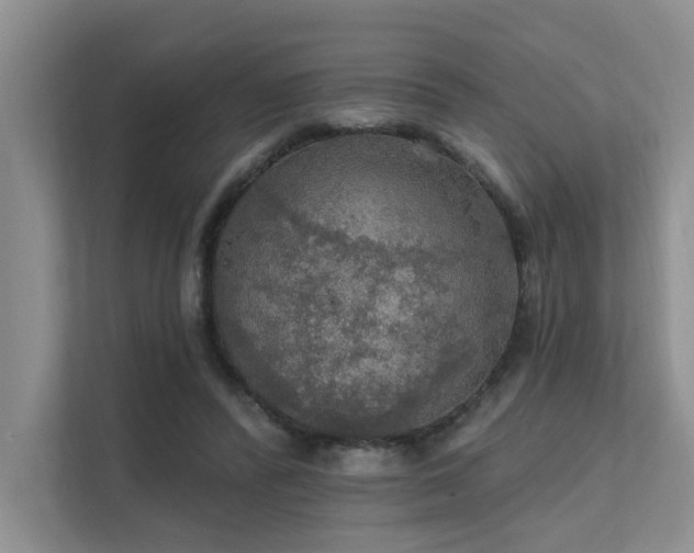 X0000111580400200907161429