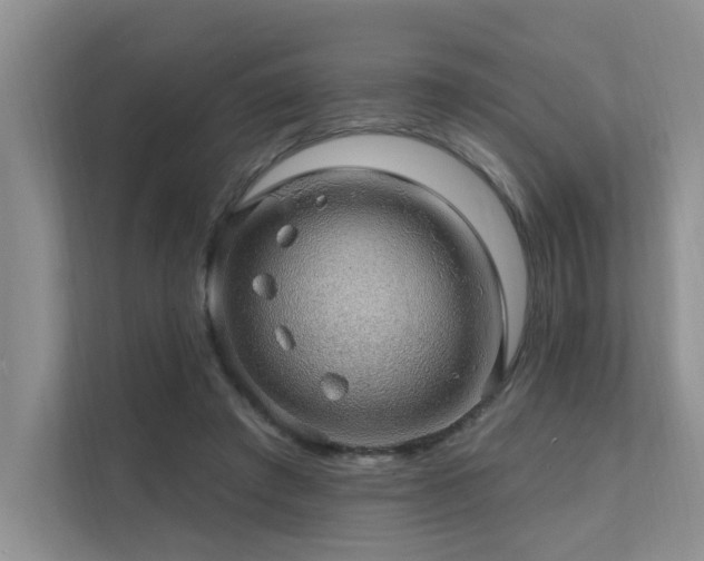 X0000111580401200907161429